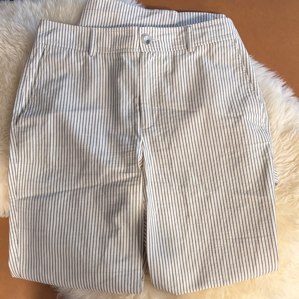 Zara Striped Khaki Cotton Pants- Neutral Pinstripe